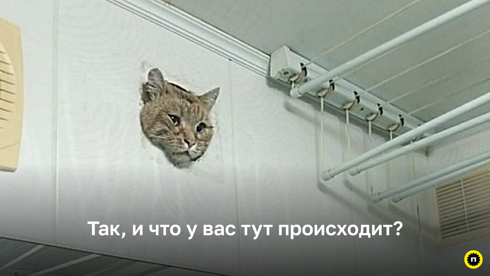 Исследование потока мыслей Попытка заглянуть «внутрь головы