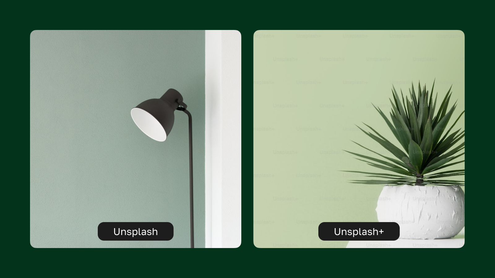 Водяной знак в версии Usplash+ Разница фото между Usplash и Usplash+