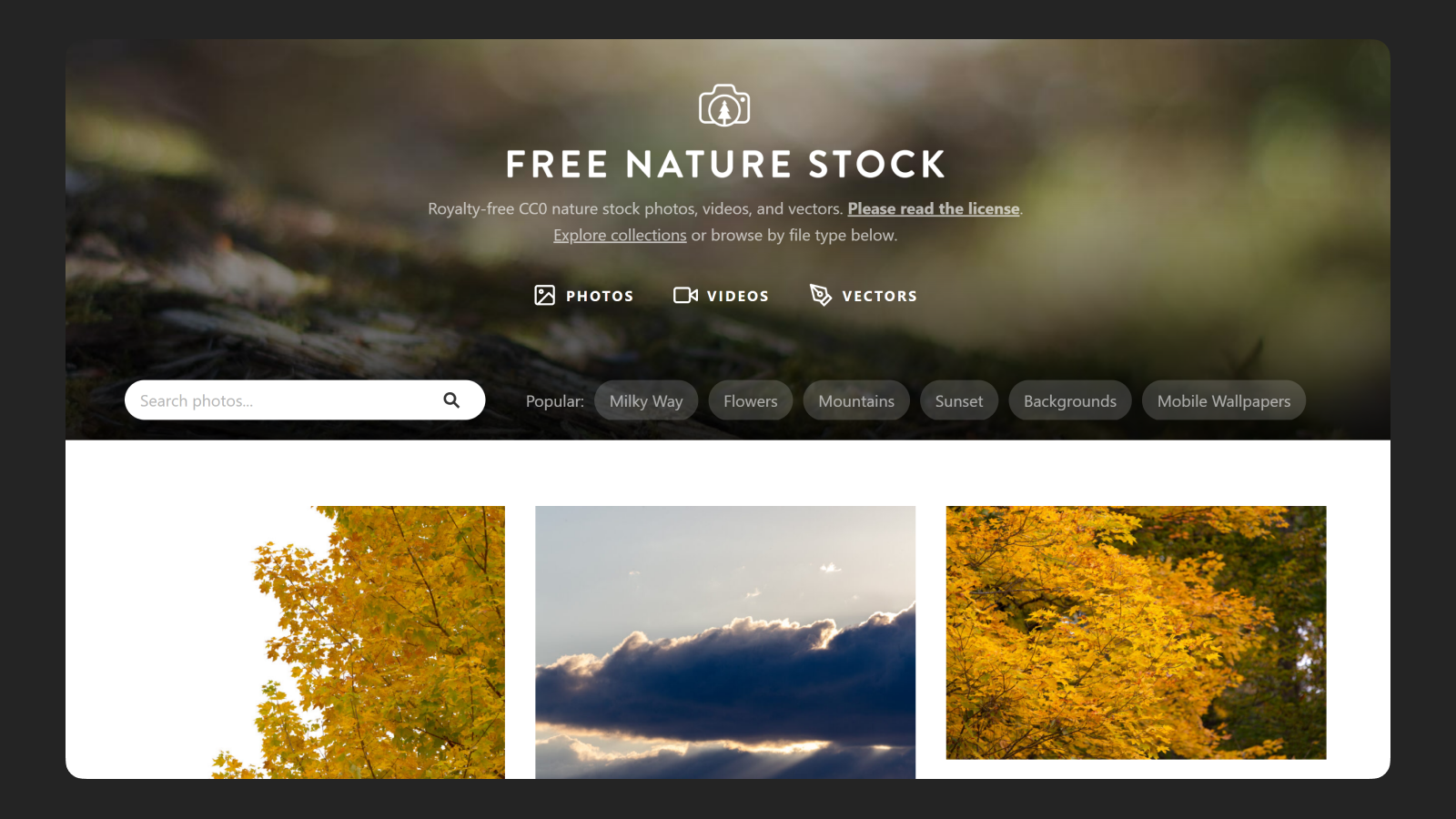 Интерфейс Free Nature Stock Интерфейс ресурса с фото природы Free Nature Stock