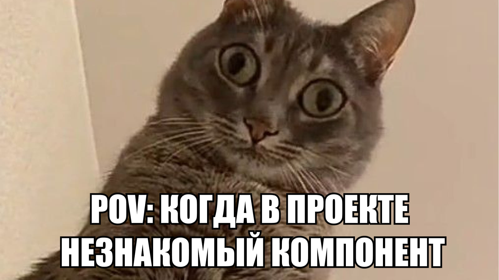 Дизайн-мем: когда в проекте незнакомый компонент POV: когда в проекте незнакомый компонент